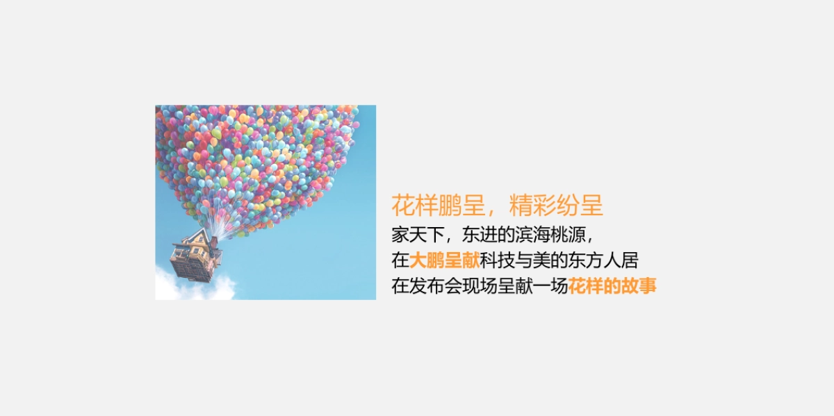 花样年家天下品牌发布会策划方案_第4页