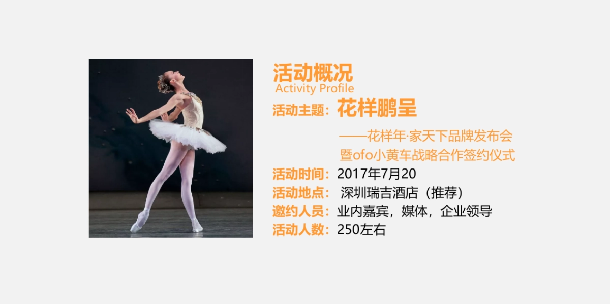 花样年家天下品牌发布会策划方案_第5页