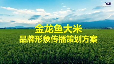 金龙鱼大米品牌传播策划方案 