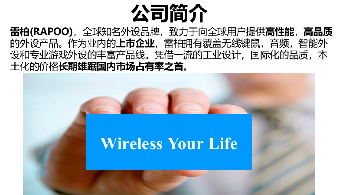 雷柏品牌介绍_第2页