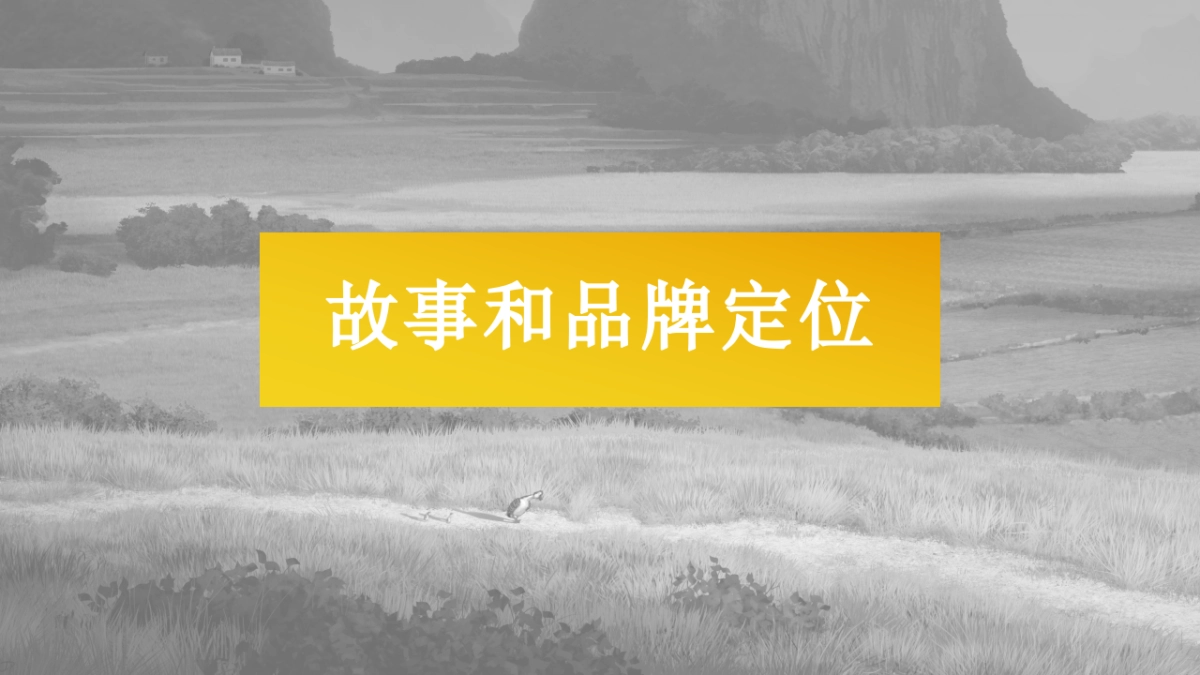 妈妈咪鸭品牌介绍版_第9页