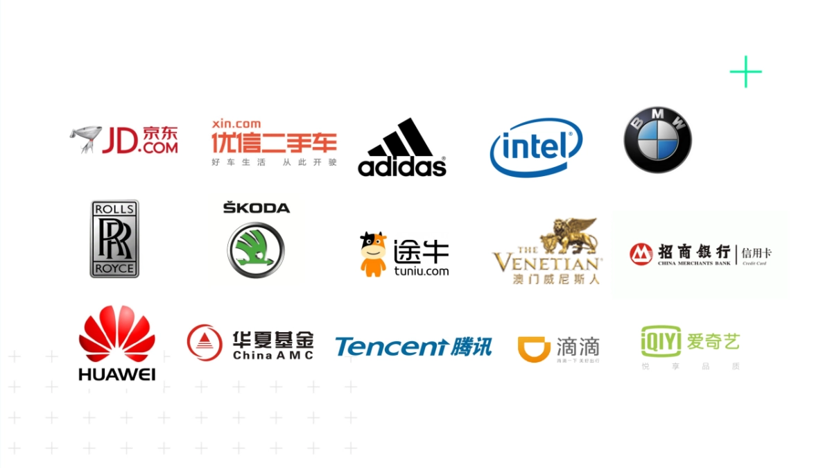 蚂蜂窝品牌创意提案_第8页