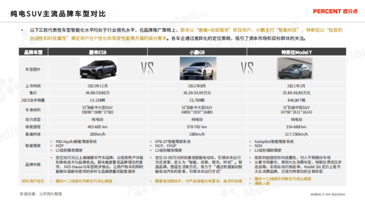新能源汽车高端受众研究_第10页