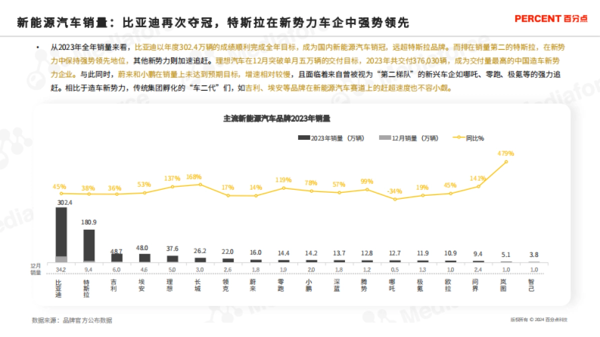 新能源汽车高端受众研究_第6页
