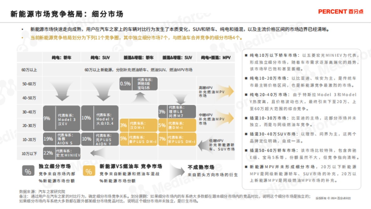 新能源汽车高端受众研究_第7页