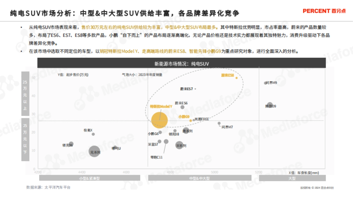 新能源汽车高端受众研究_第9页