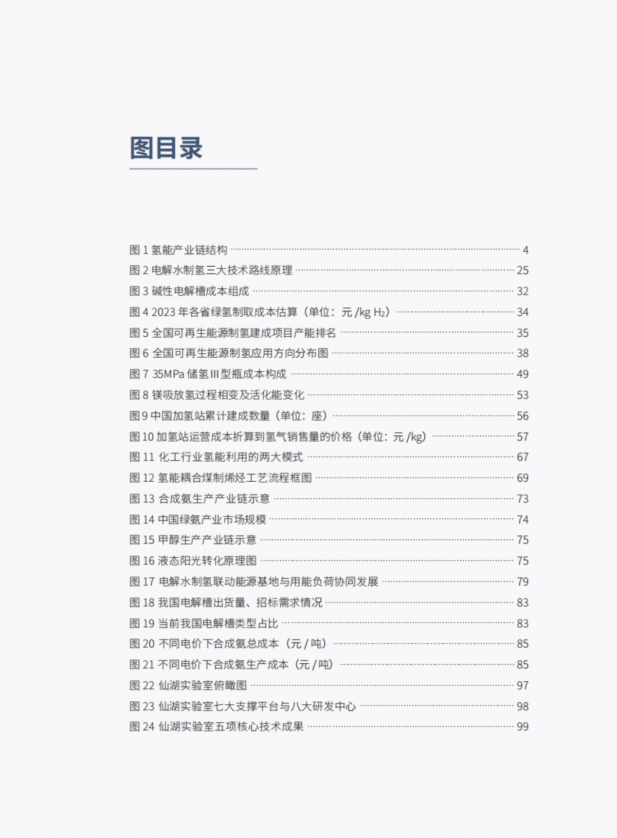 中国氢能产业发展报告2024_第8页