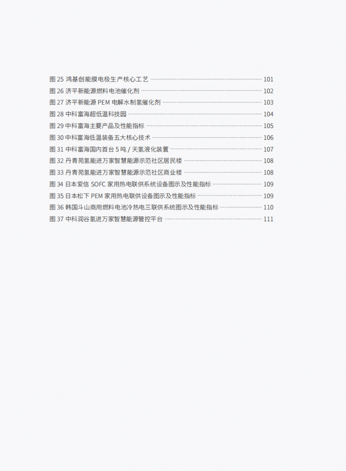 中国氢能产业发展报告2024_第9页