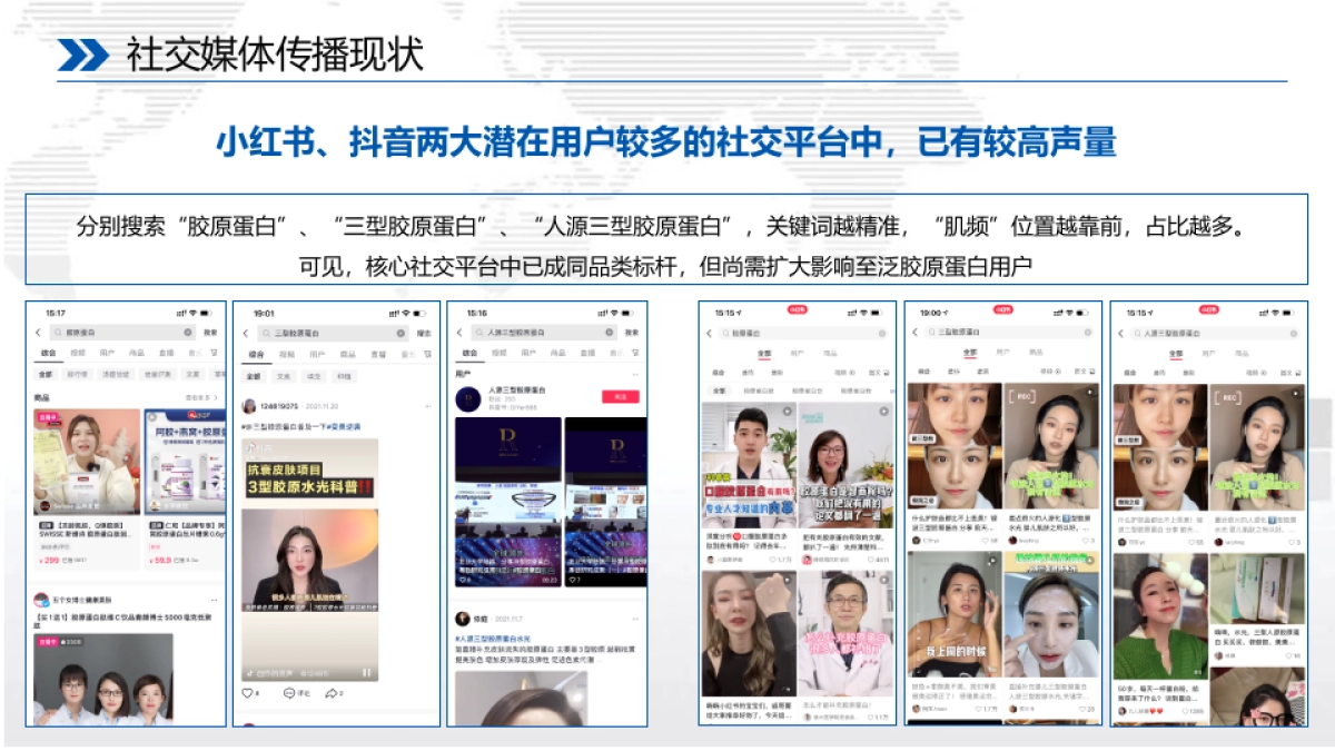 胶原蛋白护肤系列产品社会化媒体传播方案_第5页