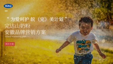 完达山奶粉品牌营销思路