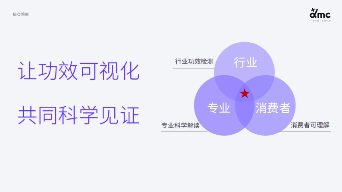 HBNxdmc三八营销复盘_第5页