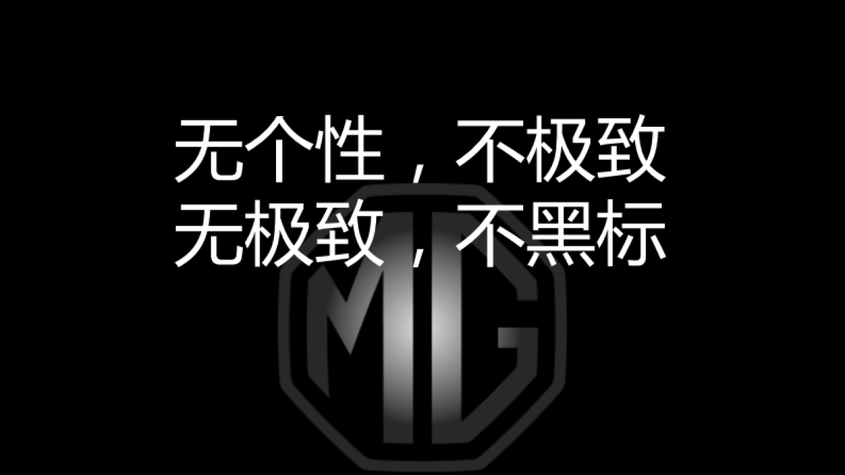 MG年度公共关系传播方案_第5页