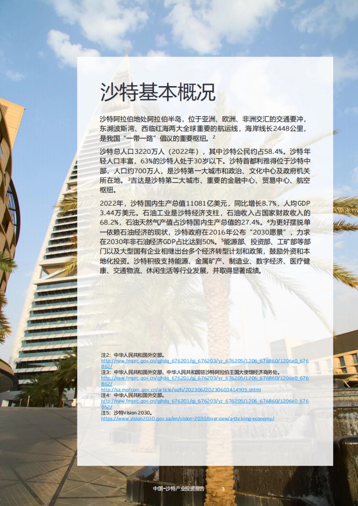 安永：2024中国-沙特产业投资报告_第4页