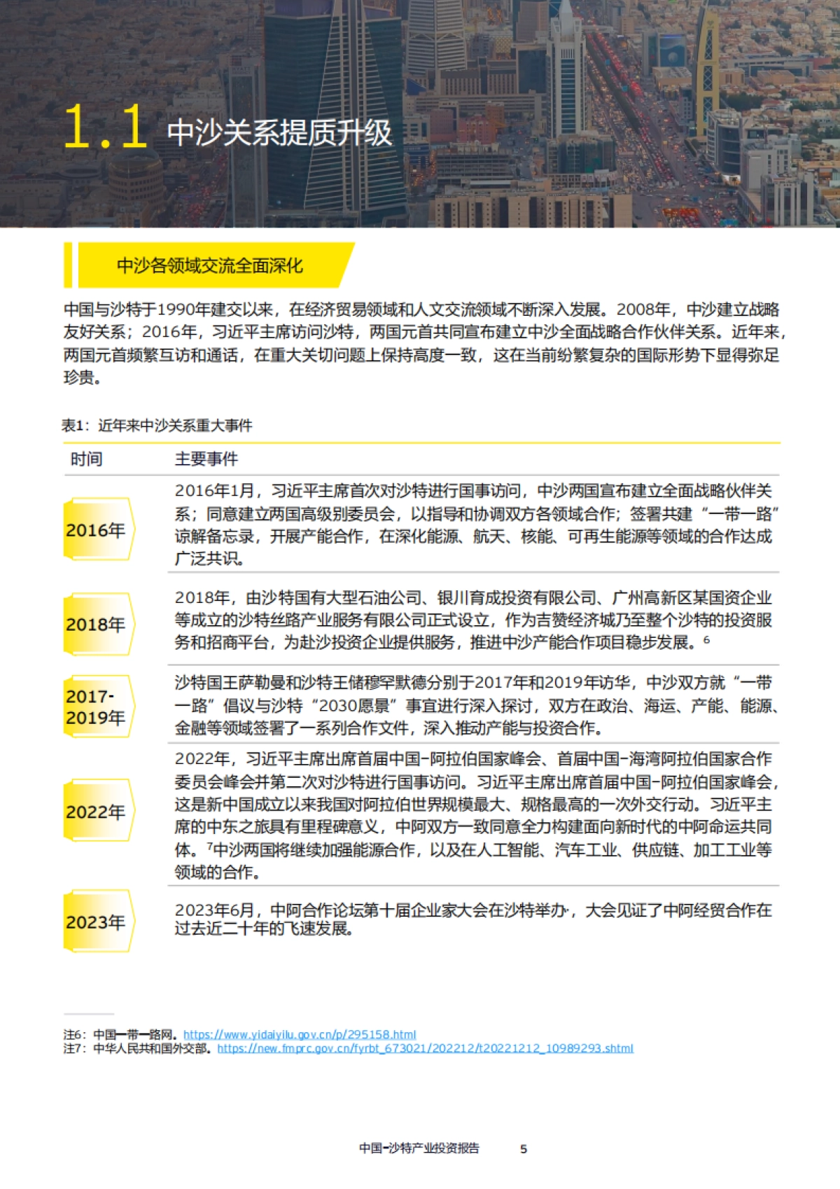 安永：2024中国-沙特产业投资报告_第6页