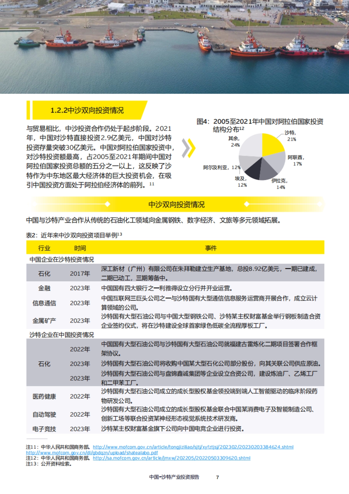 安永：2024中国-沙特产业投资报告_第8页