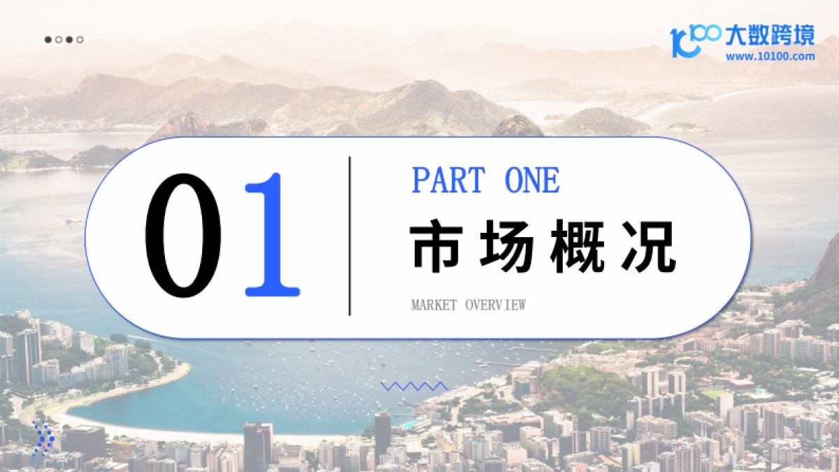 大数跨境：2024拉美电商市场洞察报告_第4页