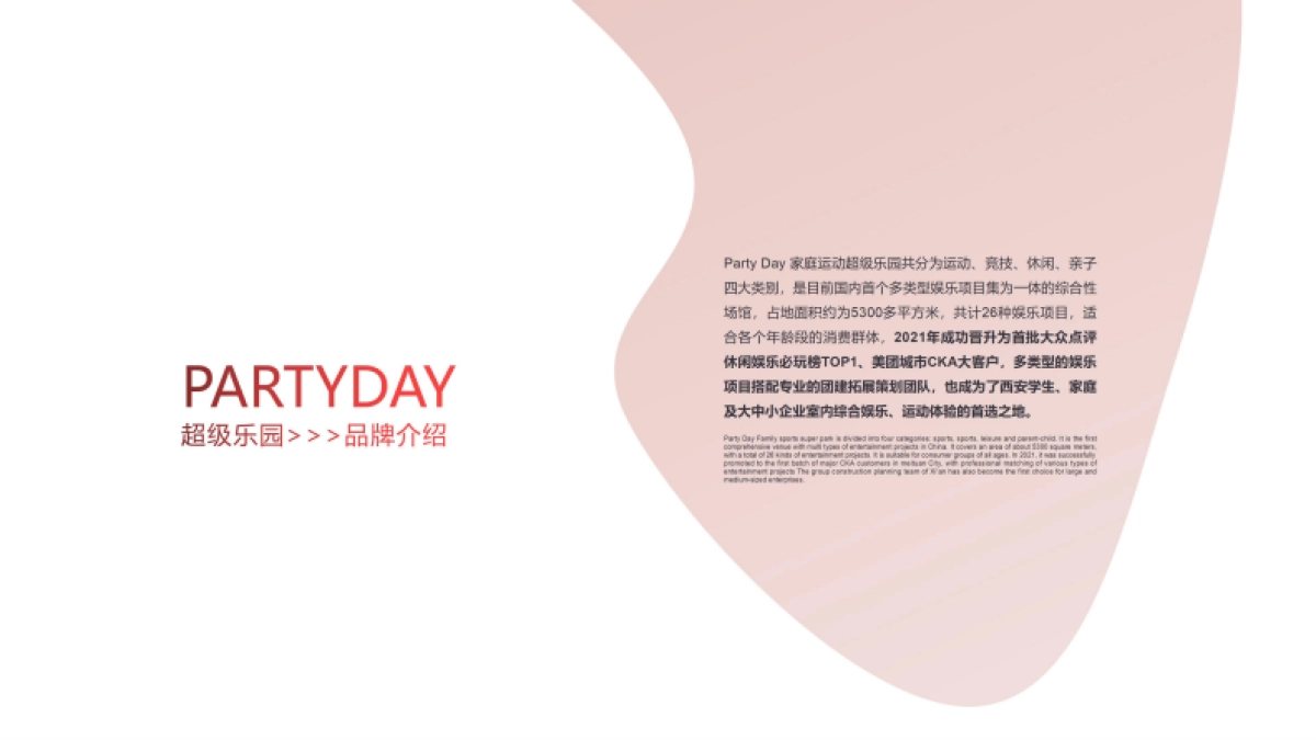 大唐不夜城Party Day项目合作计划书_第3页