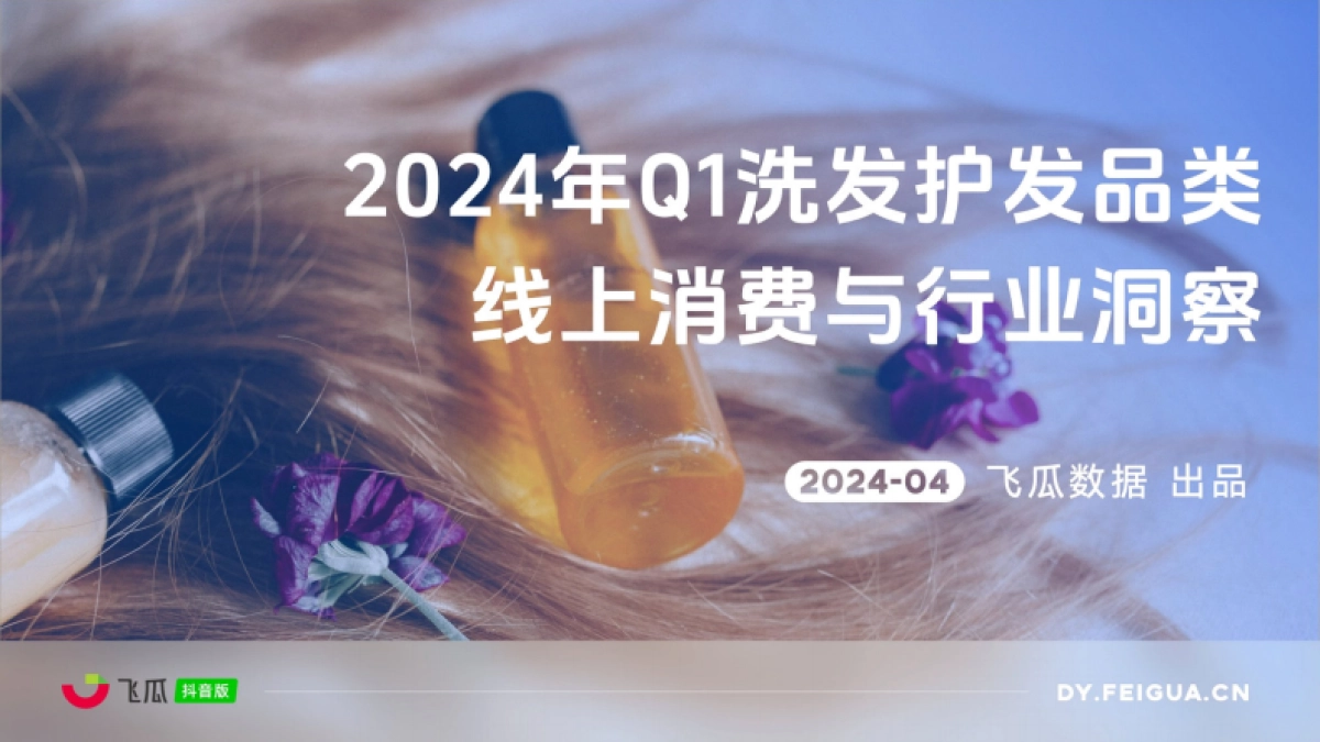飞瓜数据：2024年Q1洗发护发品类线上消费与行业洞察报告_第1页