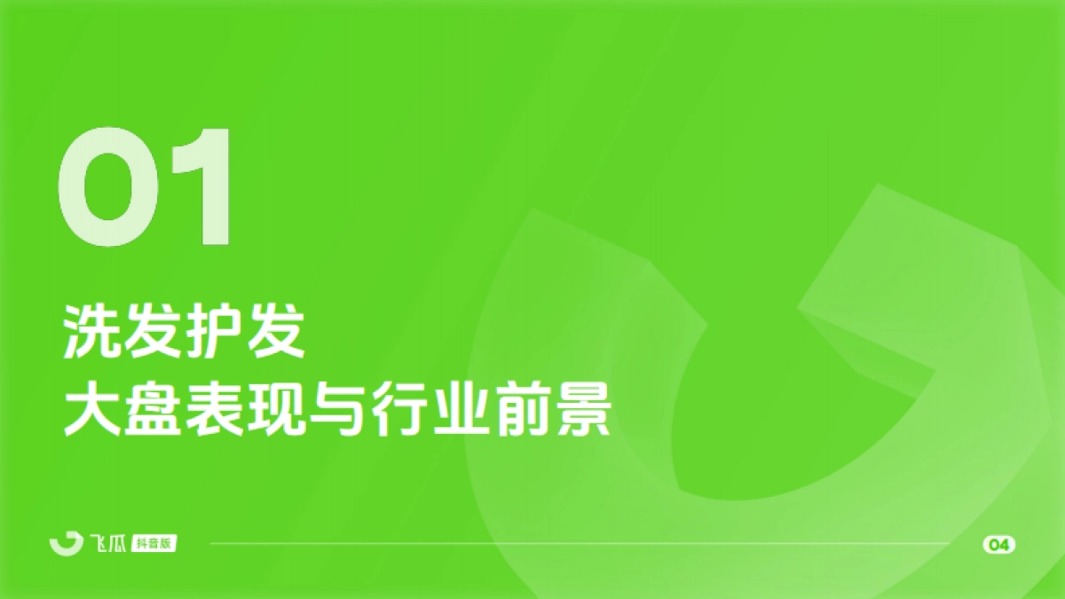 飞瓜数据：2024年Q1洗发护发品类线上消费与行业洞察报告_第5页