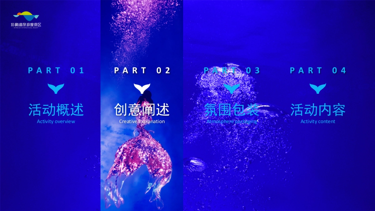 2023石梅湾国际潜水节策划方案_第10页