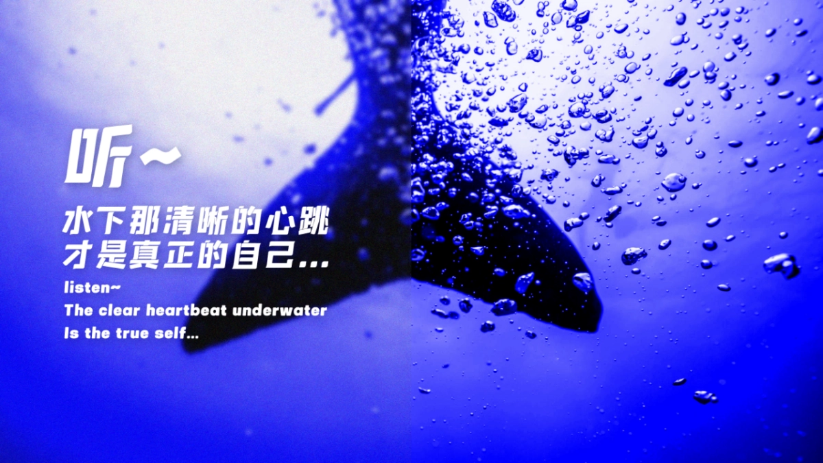 2023石梅湾国际潜水节策划方案_第4页