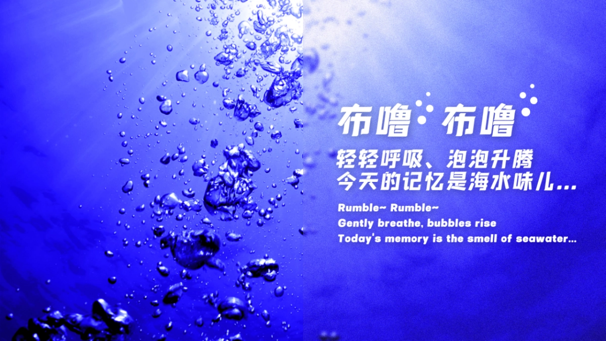 2023石梅湾国际潜水节策划方案_第5页