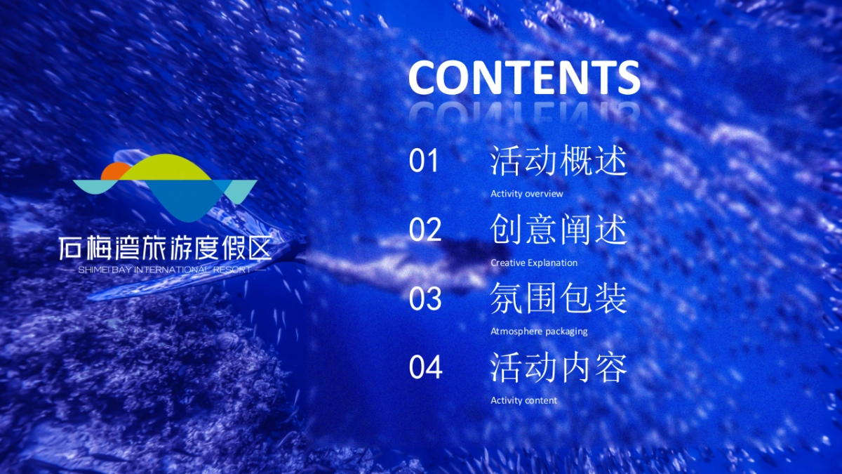 2023石梅湾国际潜水节策划方案_第6页