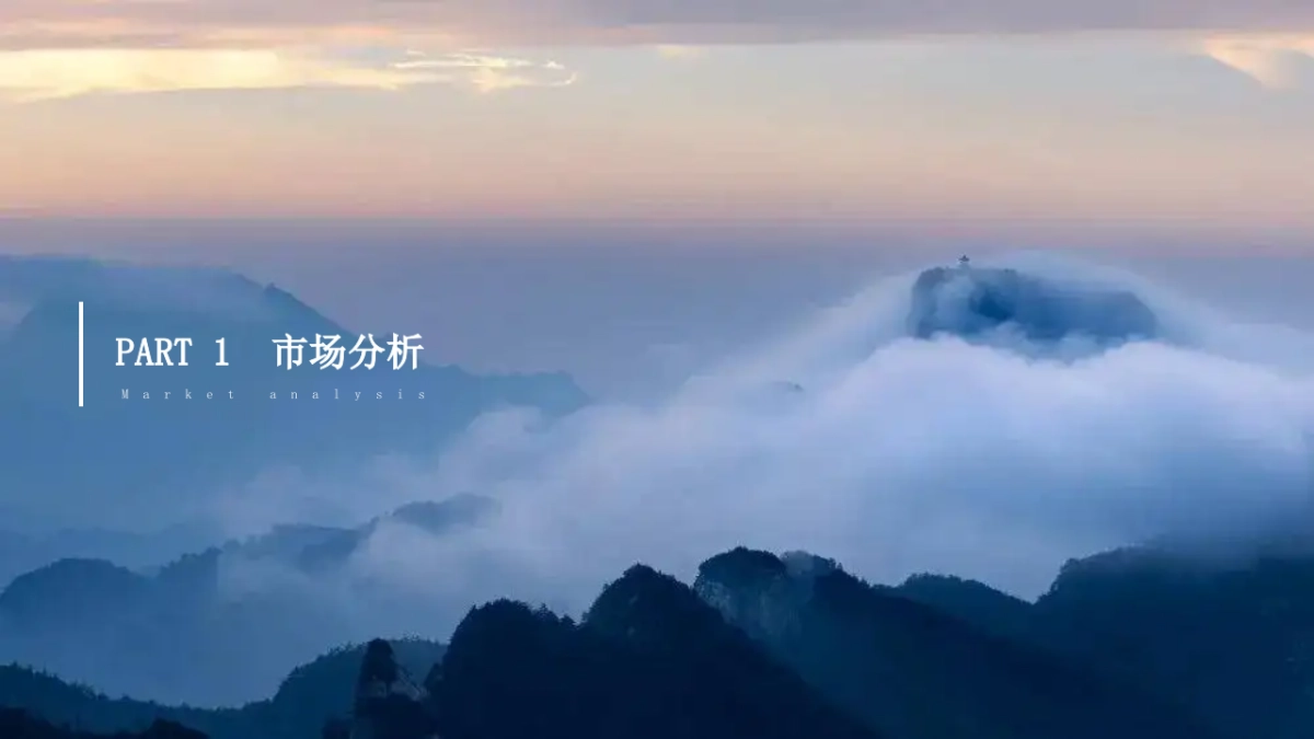 洛阳白云山营销活动_第3页