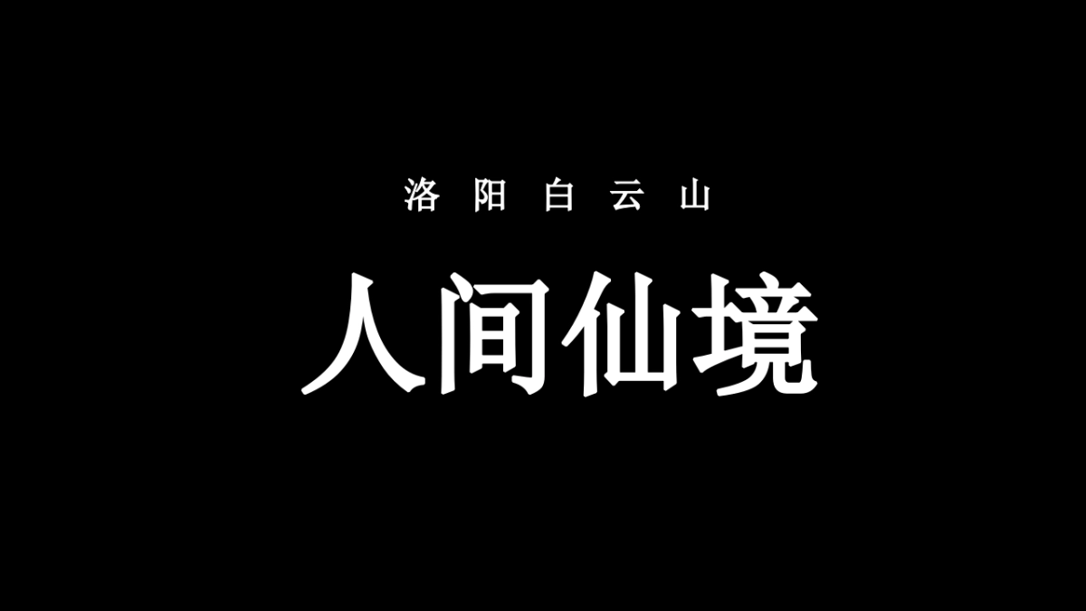 洛阳白云山营销活动_第7页