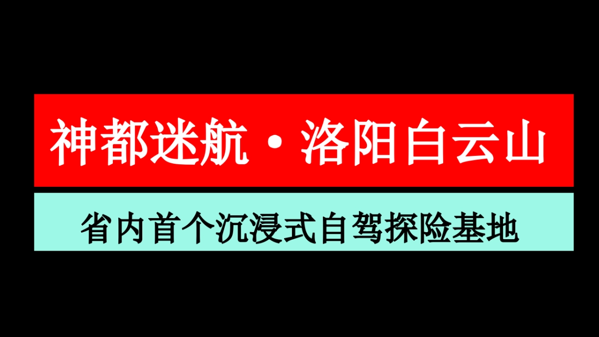 洛阳白云山营销活动_第9页