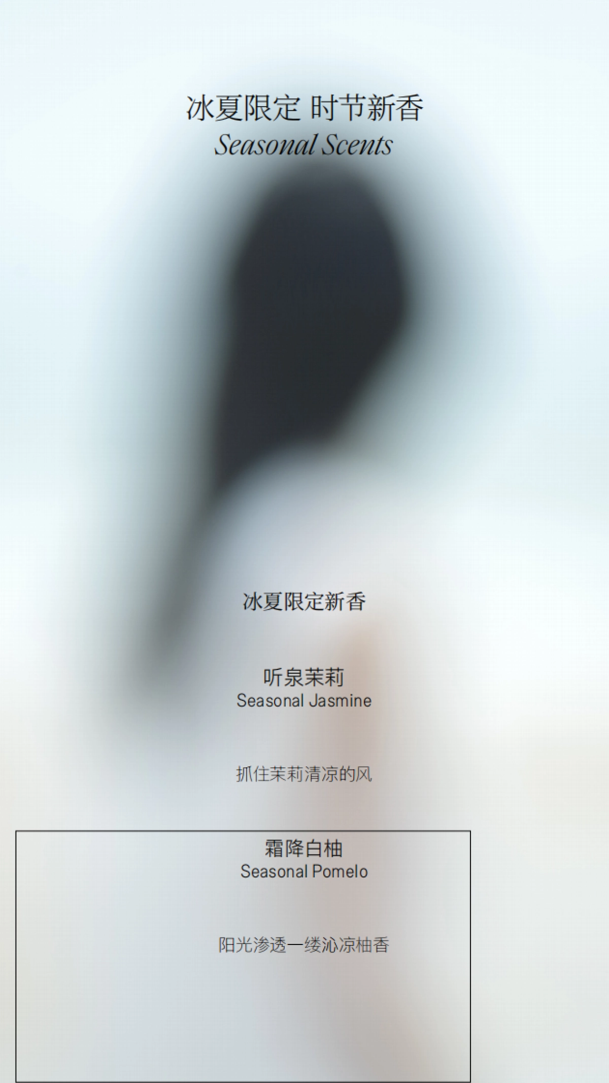 2024冰夏香氛产品手册_第3页