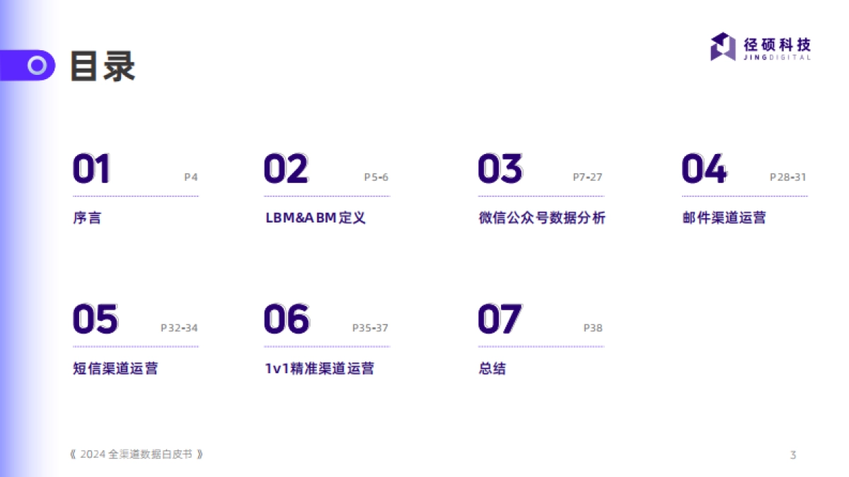 径硕科技：2024全渠道数据白皮书_第3页