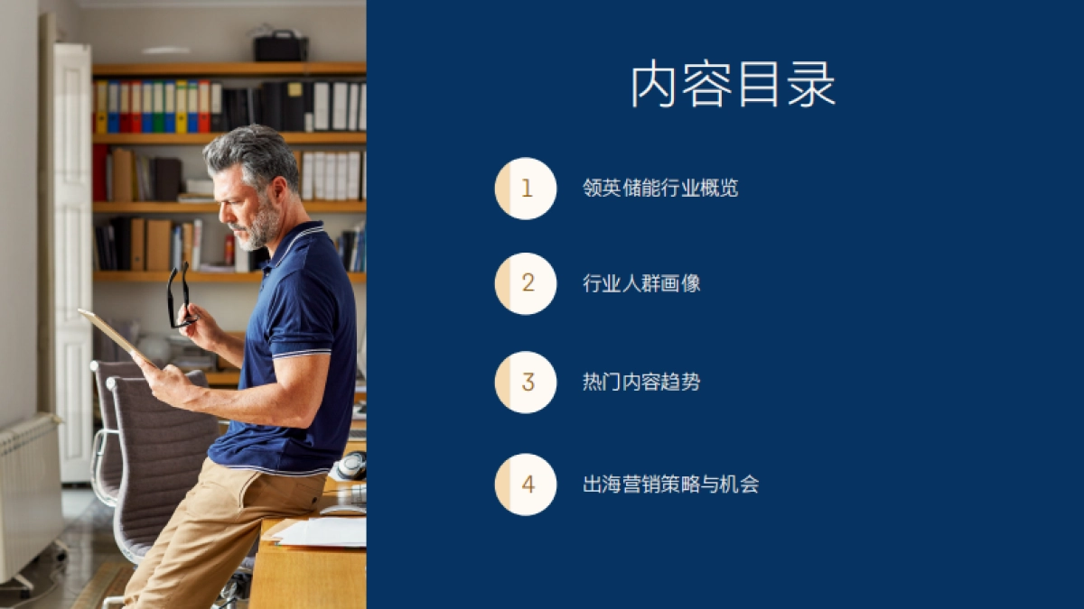 领英:2024储能行业全球营销数据洞察白皮书_第2页