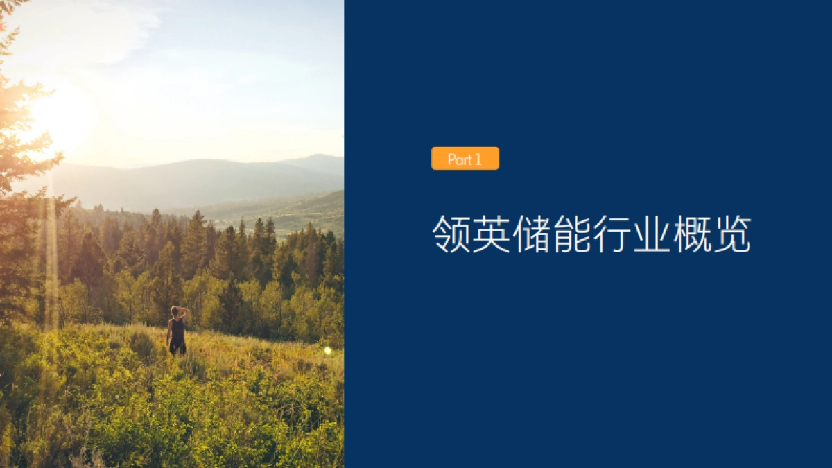 领英:2024储能行业全球营销数据洞察白皮书_第3页