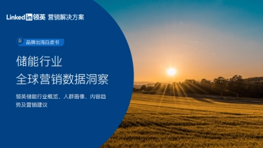 领英：2024储能行业全球营销数据洞察白皮书