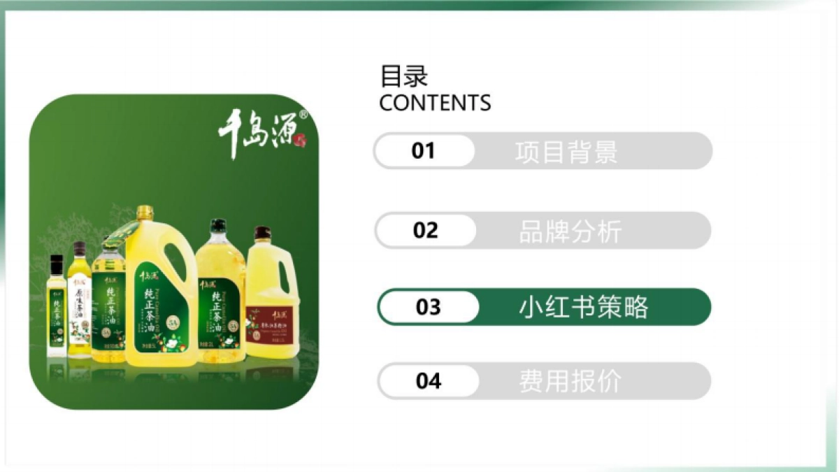 千岛源茶油小红书内容运营方案_第10页