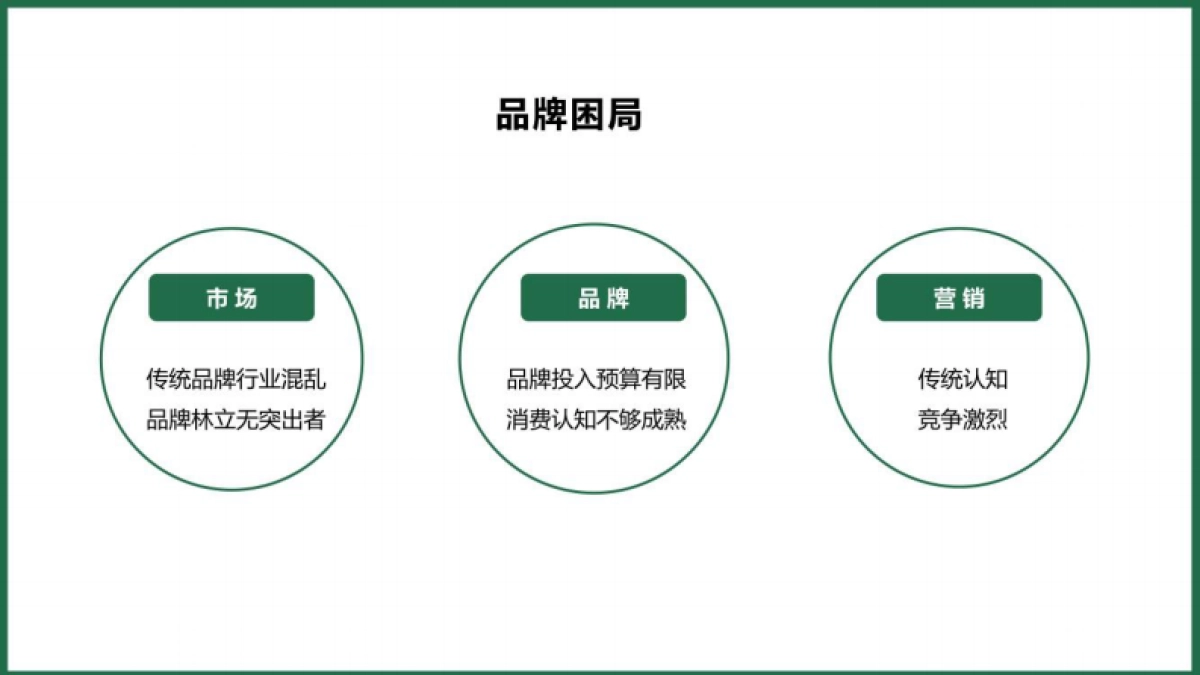 千岛源茶油小红书内容运营方案_第4页
