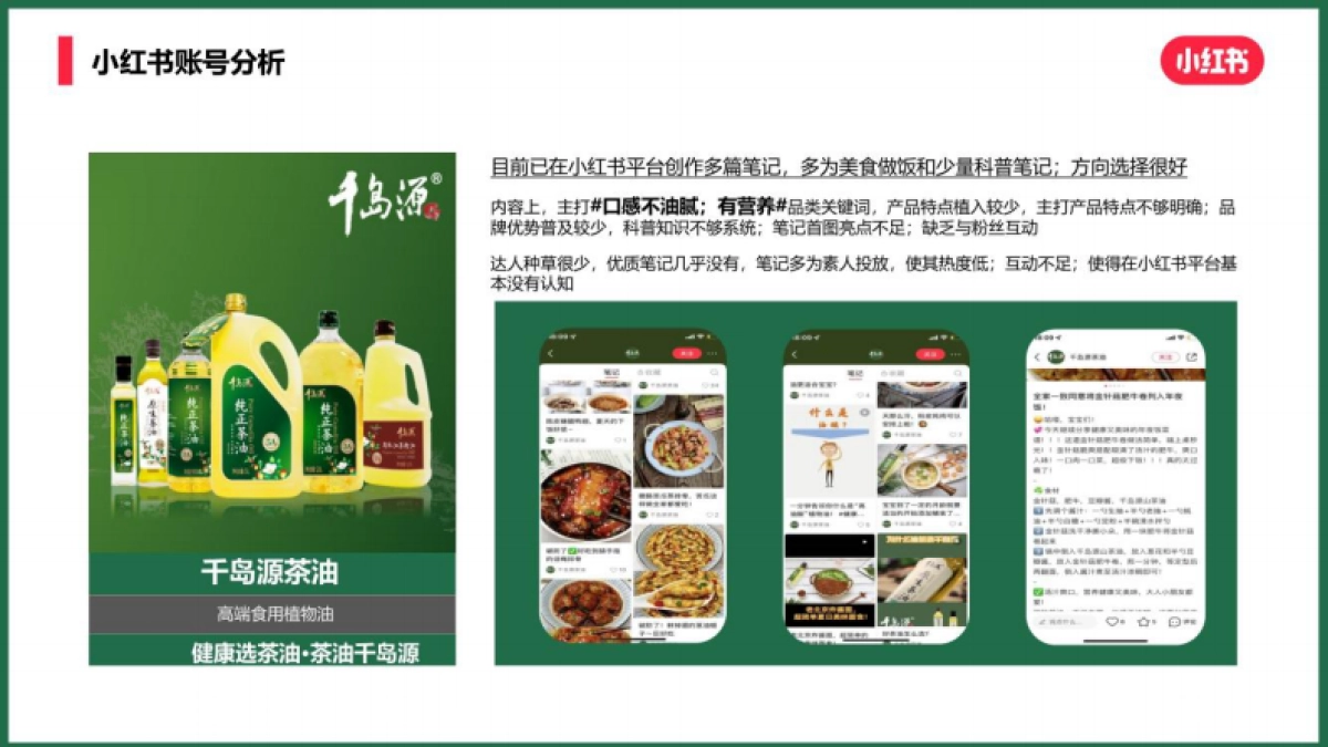 千岛源茶油小红书内容运营方案_第8页