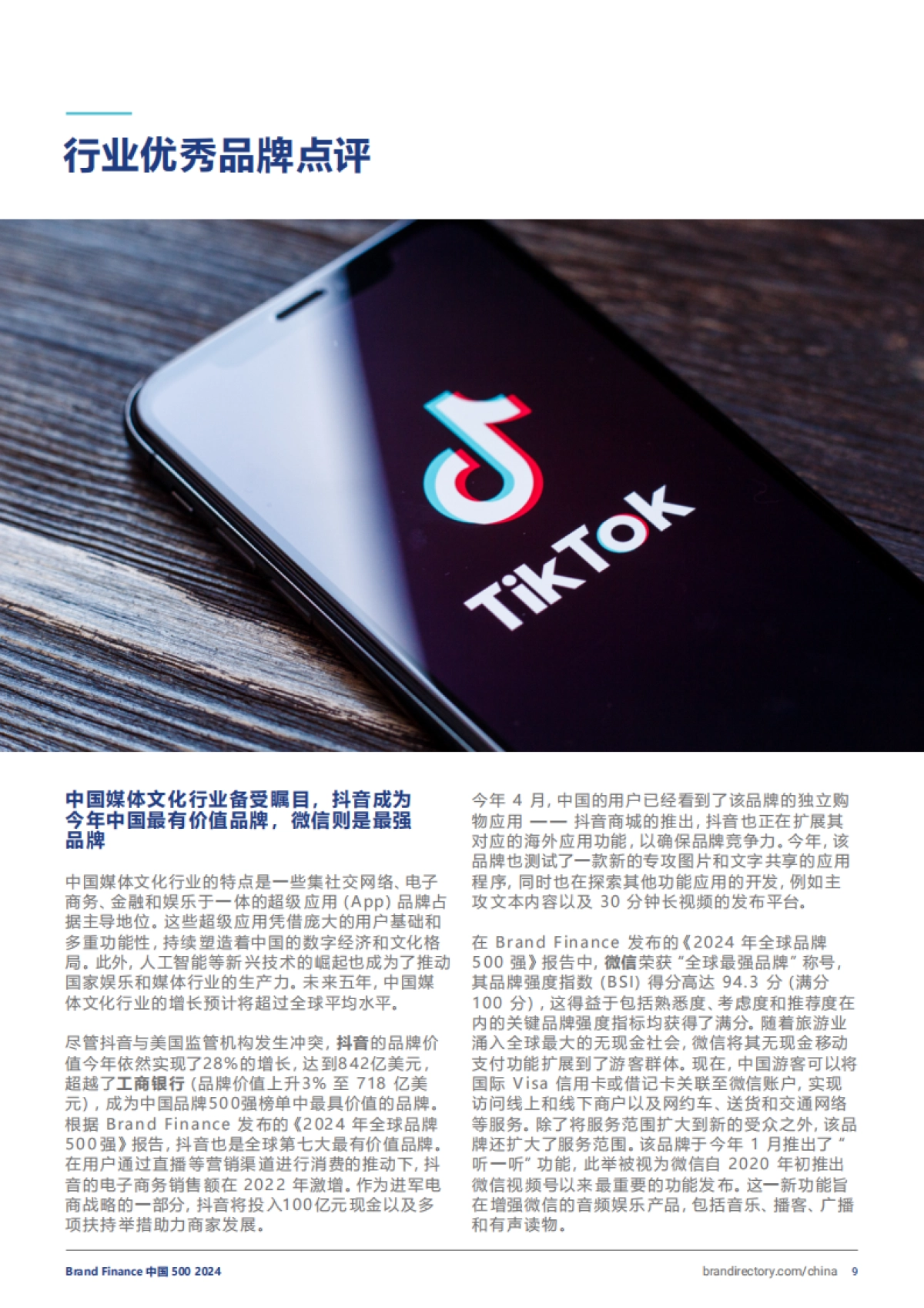 Brand Finance：2024年全球品牌 500 强报告_第9页