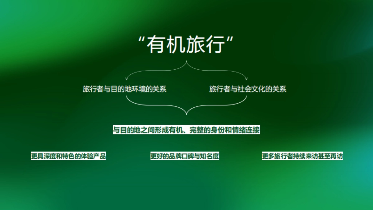 MSC咨询：2024有机旅行中国行业指引_第9页