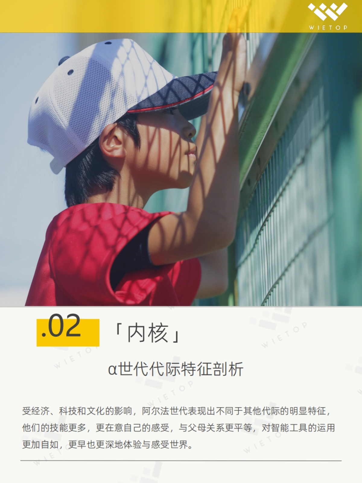 WIETOP重磅报告 - 阿尔法世代研究_第8页