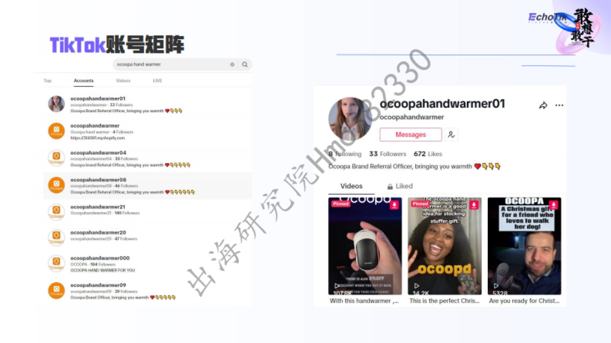 出海品牌如何在TikTOK实现高效传播_第8页