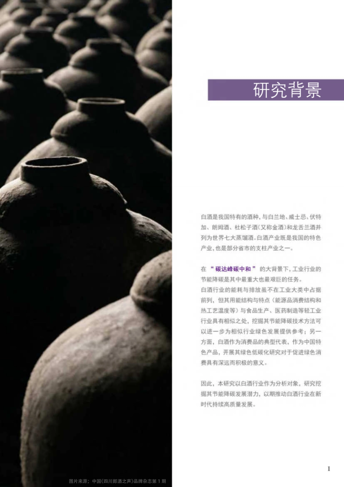 清华大学：2024白酒酿造能源需求分析与节能降碳发展路径研究报告_第5页