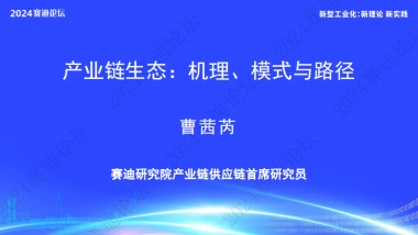 赛迪研究院：2024产业链生态：机理、模式与路径报告
