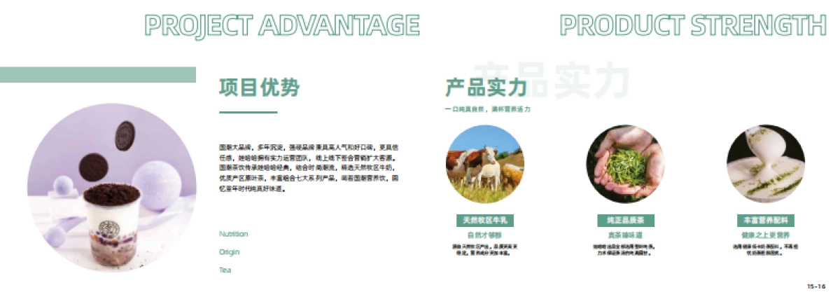 娃哈哈茶饮项目品牌手册_第10页