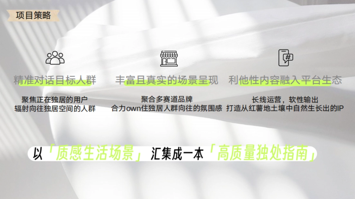 小红书独居人俱乐部招商方案_第4页
