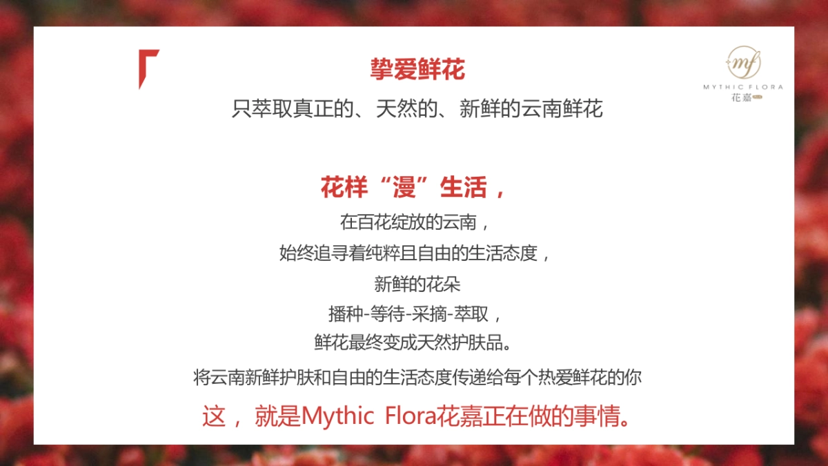 护肤品新品线上全媒体渠道推广方案_第10页