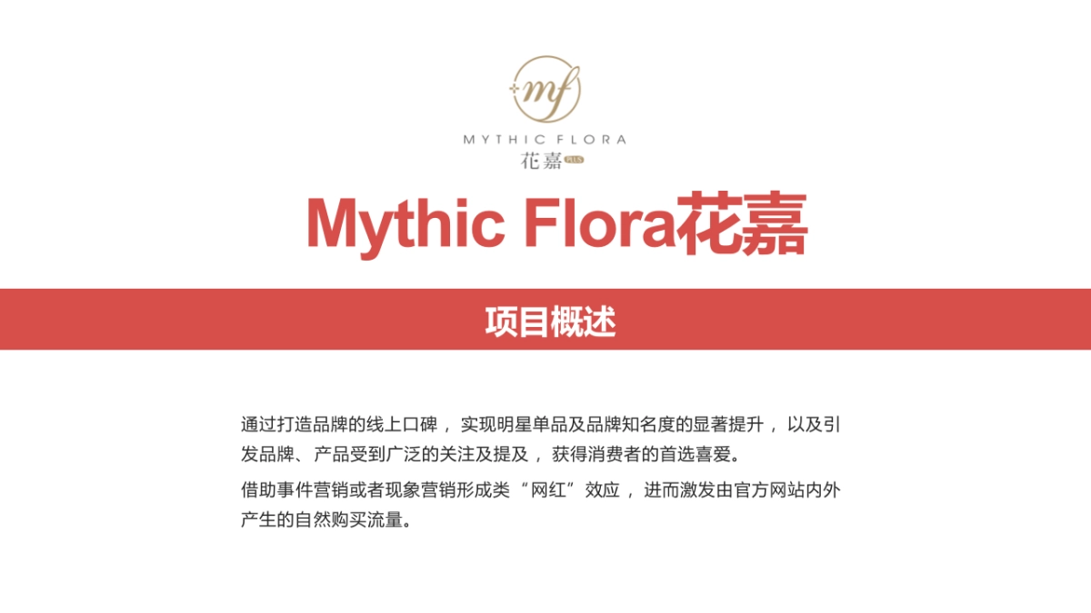 护肤品新品线上全媒体渠道推广方案_第2页