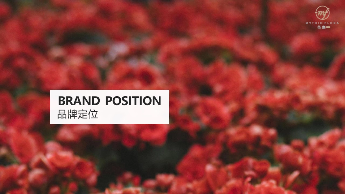 护肤品新品线上全媒体渠道推广方案_第4页