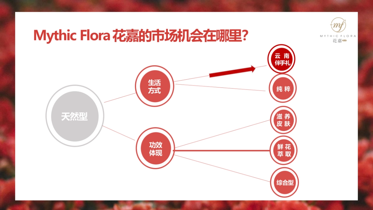护肤品新品线上全媒体渠道推广方案_第6页